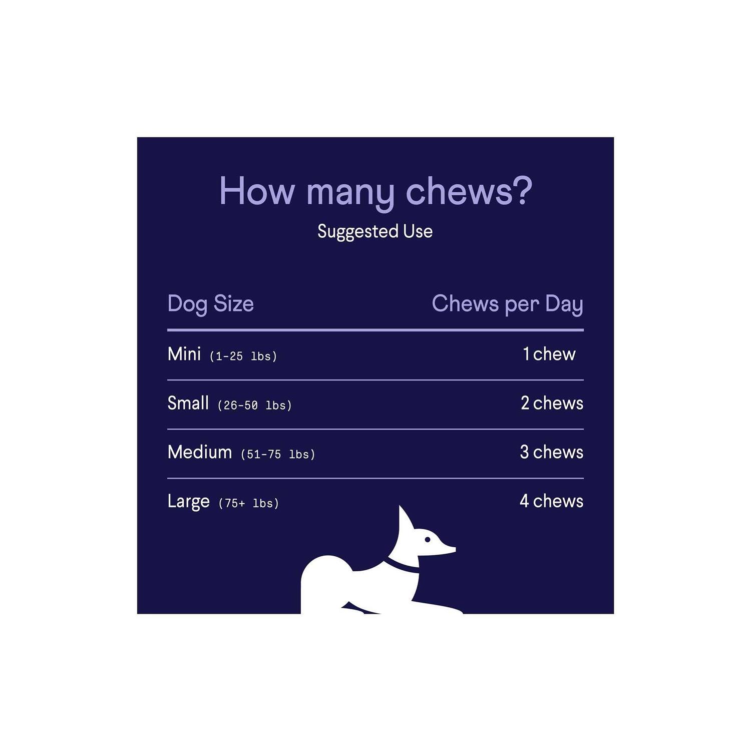 Finn Digestive Probiotics Supplement for Dogs - Nail Gallerys