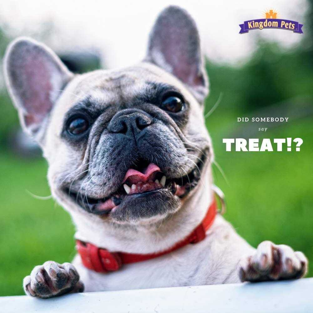 Kingdom Pets Duck & Sweet Potato Jerky Twists - Nail Gallerys