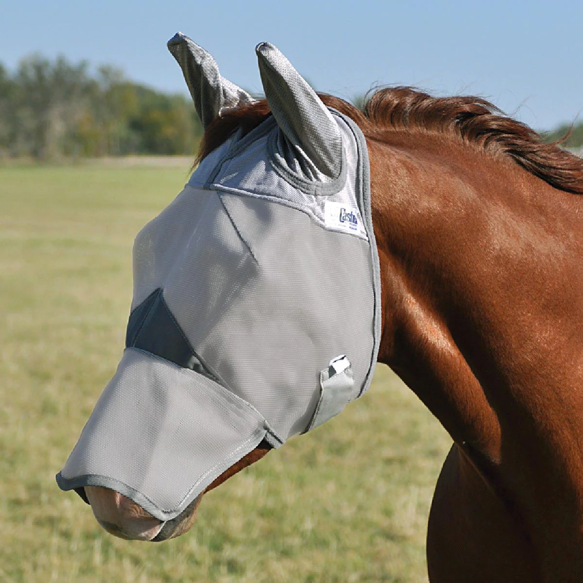Crusader Fly Mask with Long Nose - Nail Gallerys