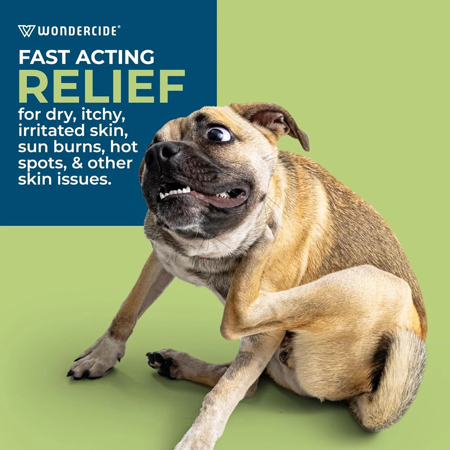 Wondercide Skin Tonic, Anti-Itch Spray with Neem - Nail Gallerys