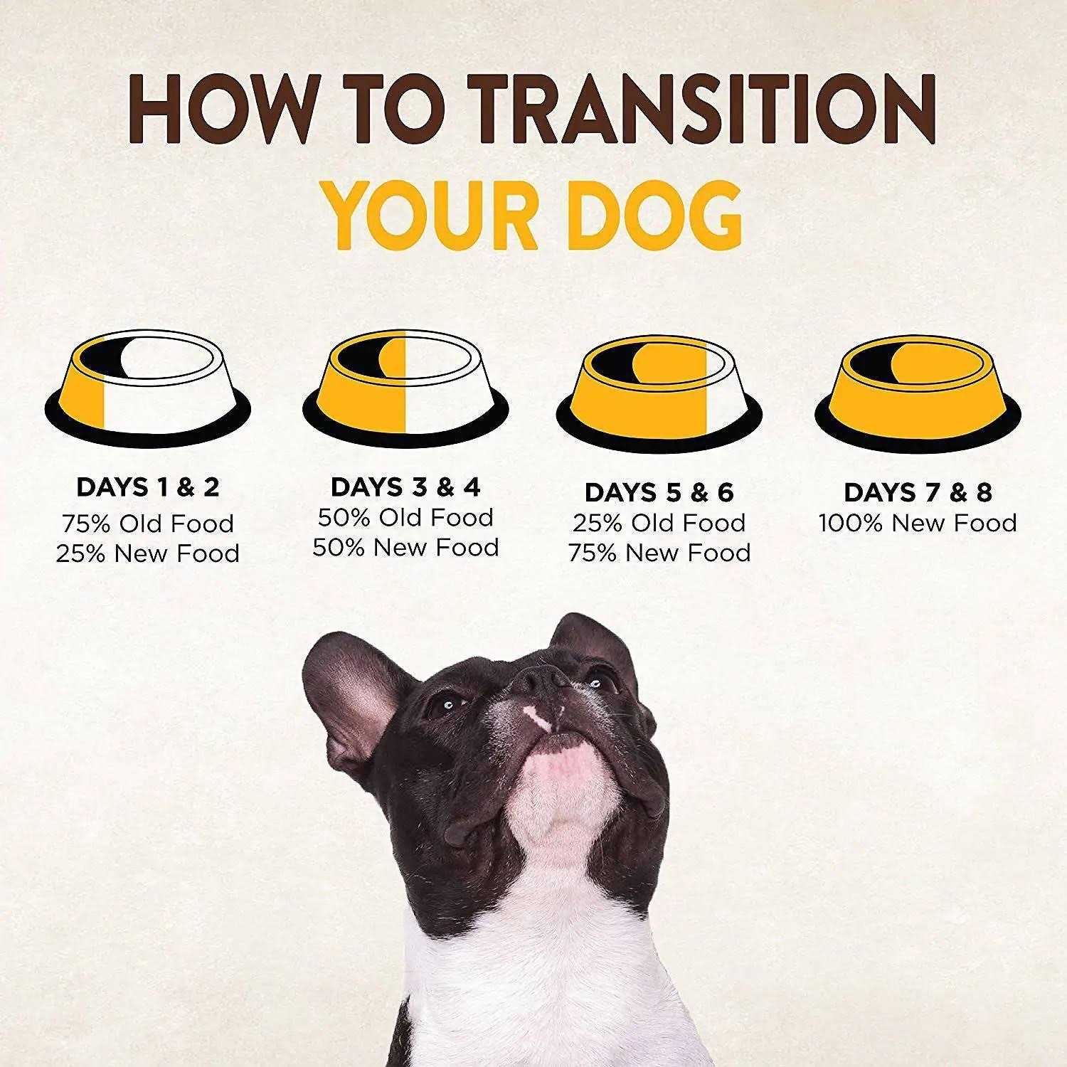 Wellness CORE Natural Grain Free Small Breed Dry Puppy Food - Nail Gallerys