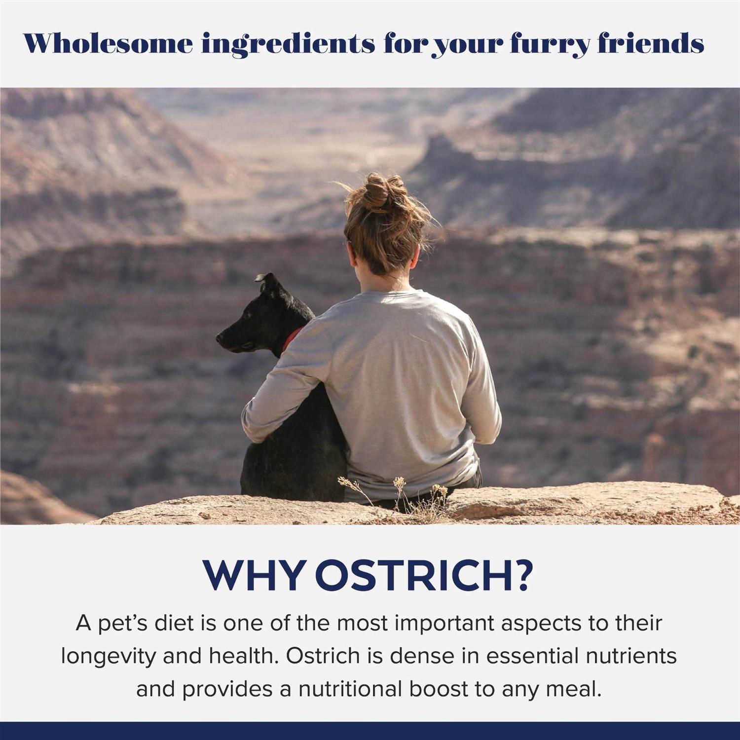 Ostrich Egg Bites - Nail Gallerys