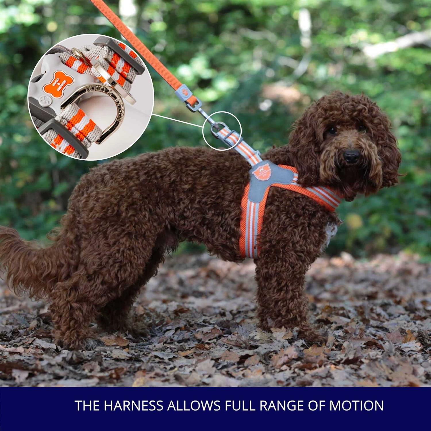 HUGO & HUDSON Easy Walk V Dog Harness - Nail Gallerys