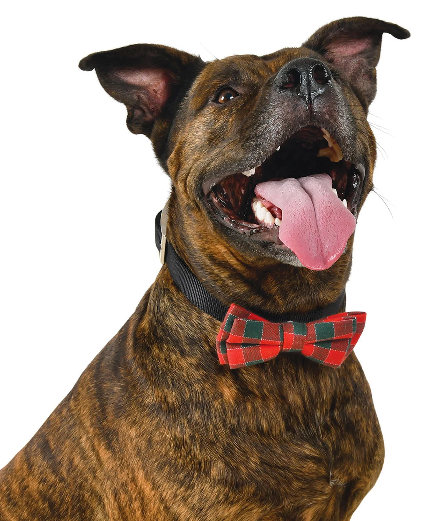 Plaid Holiday Bow Tie by Fashion Pet - Nail Gallerys