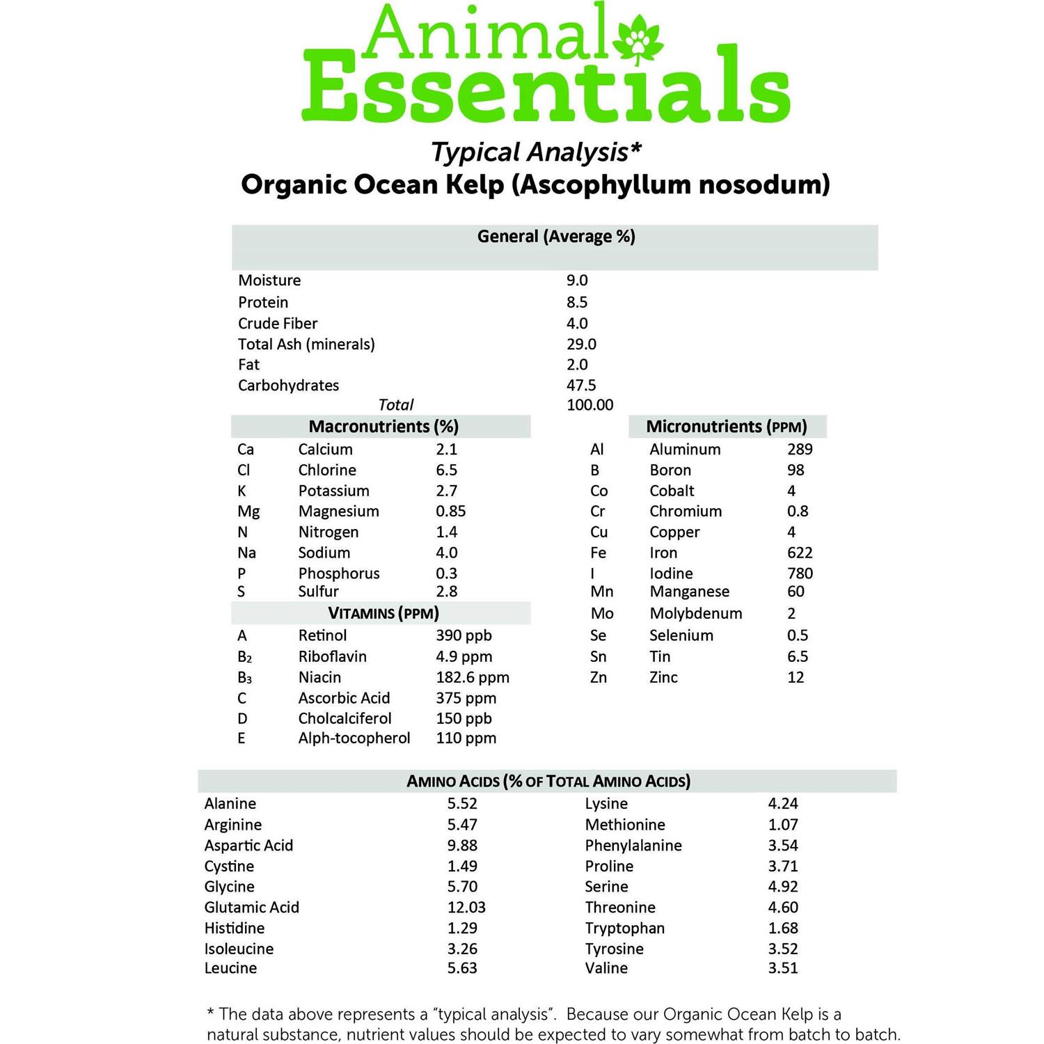 Animal Essentials Organic Ocean Kelp - Nail Gallerys