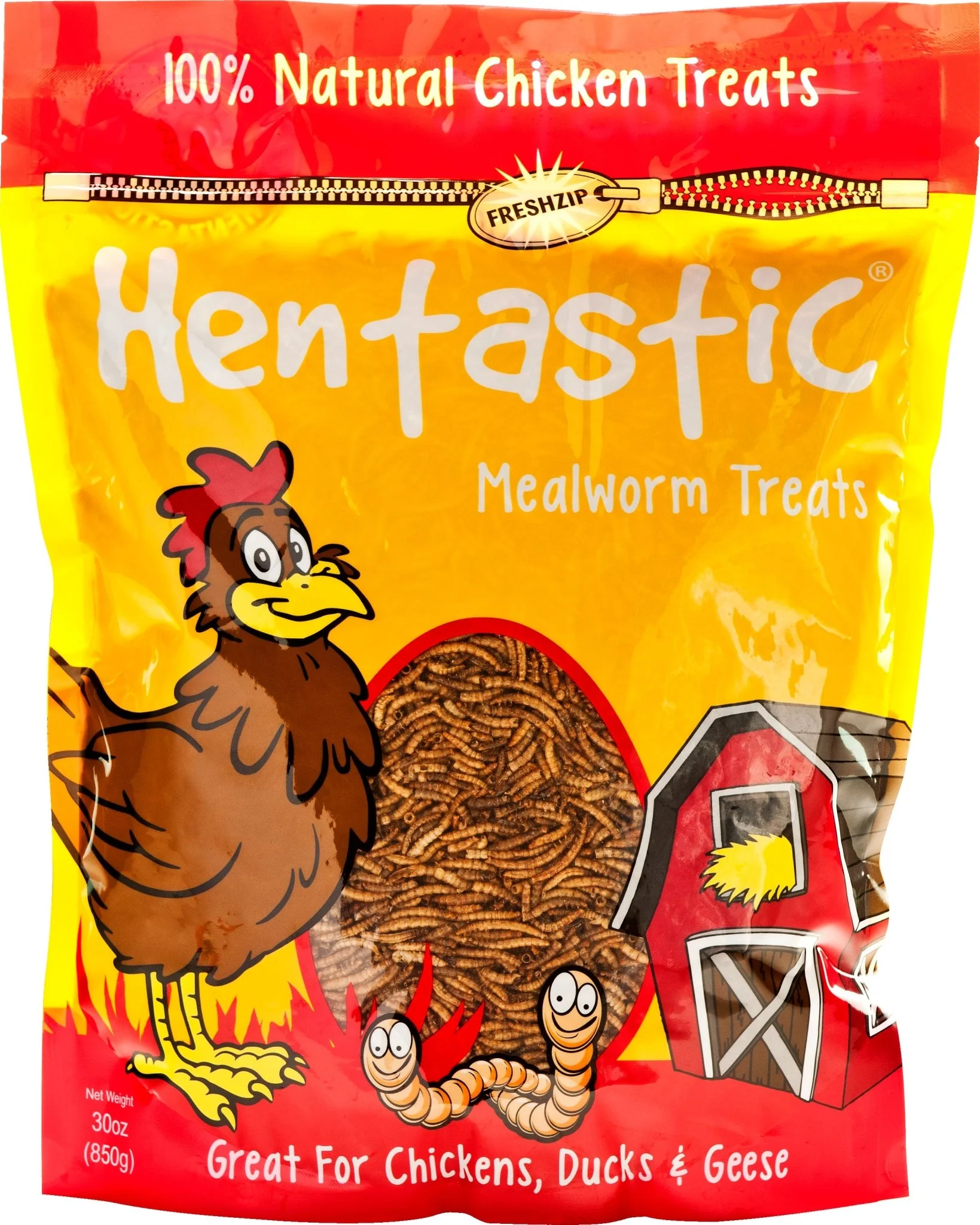 Hentastic Dried Mealworms - Nail Gallerys