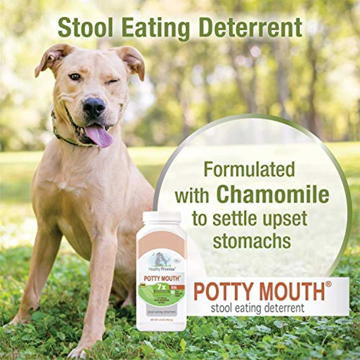 Four Paws Healthy Promise Potty Mouth Supplement for Dogs - Nail Gallerys
