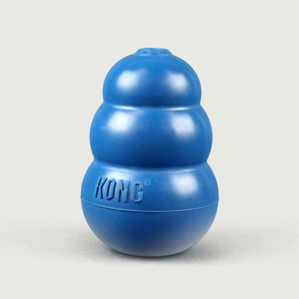 Kong Blue Toy Dogs - Nail Gallerys