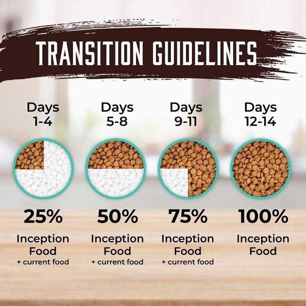 Inception Dog Food - Nail Gallerys