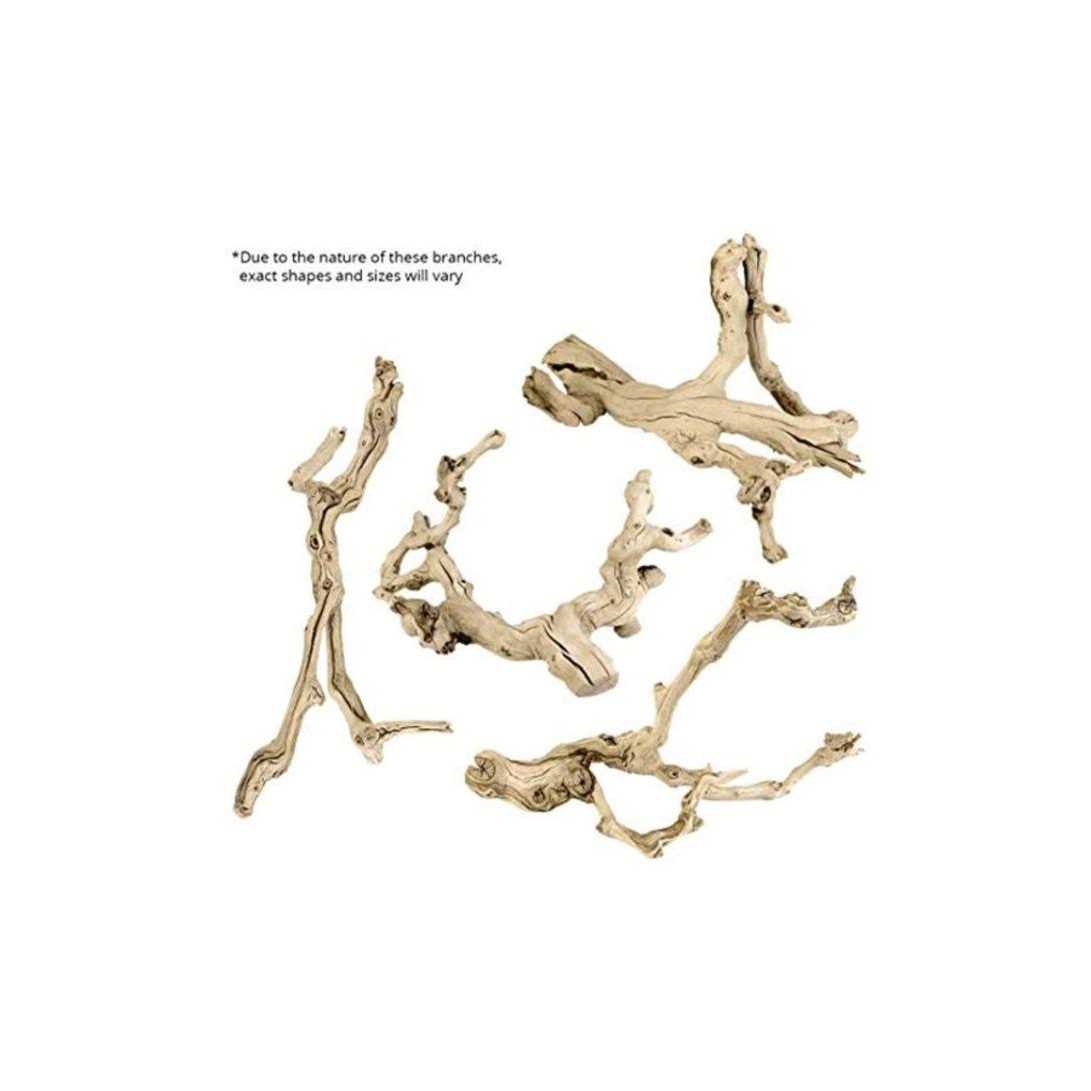 Koyal Wholesale Grapewood Branch - Nail Gallerys