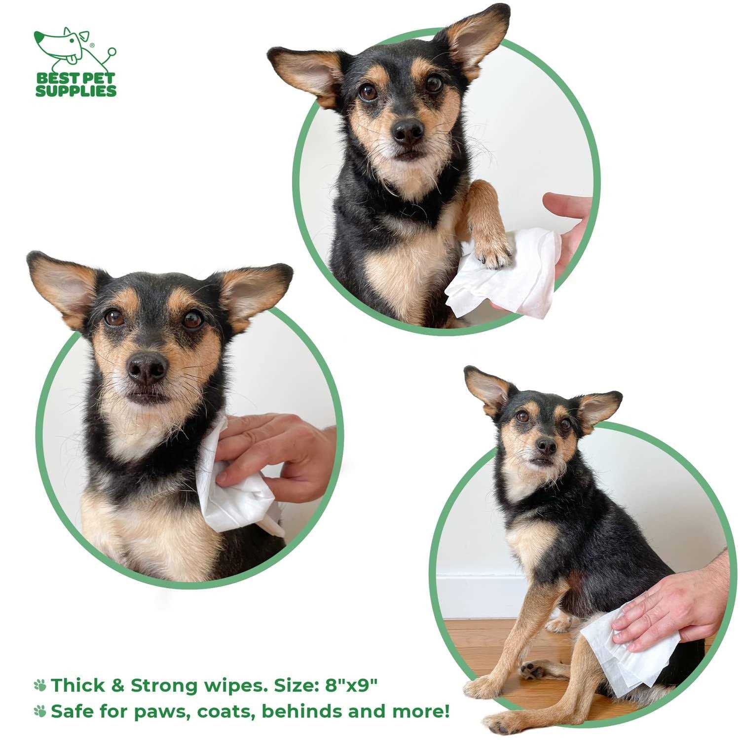 Best Pet Supplies Pet Grooming Wipes for Dogs & Cats, 400 Pack, Plant-Based Deodorizer for Coats & Dry, Itchy, or Sensitive Skin - Nail Gallerys