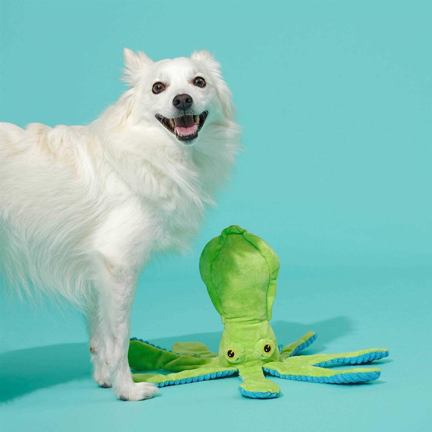 BARK Billy The Squid Dog Toy - Nail Gallerys