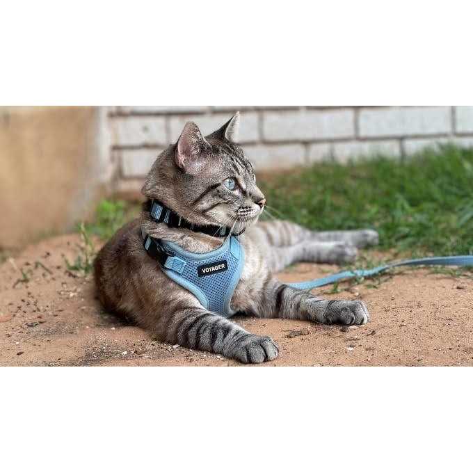 Voyager Step-in Lock Pet Harness All Weather Mesh, Adjustable Step in Harness for Cats and Dogs by Best Pet Supplies - Nail Gallerys