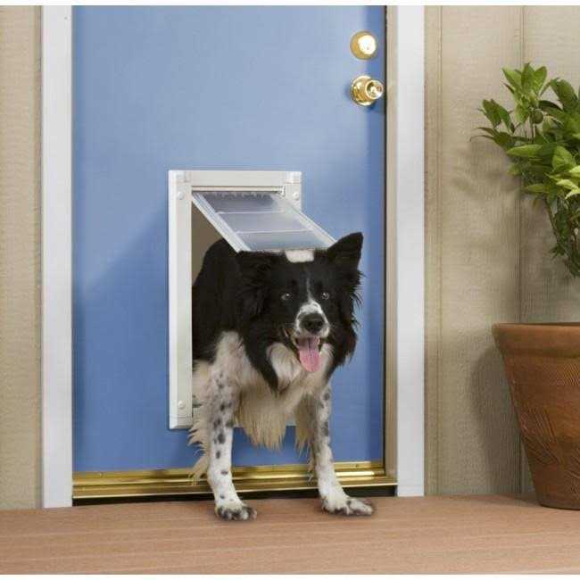 Endura Flap Double Flap Pet Door for Doors - Nail Gallerys