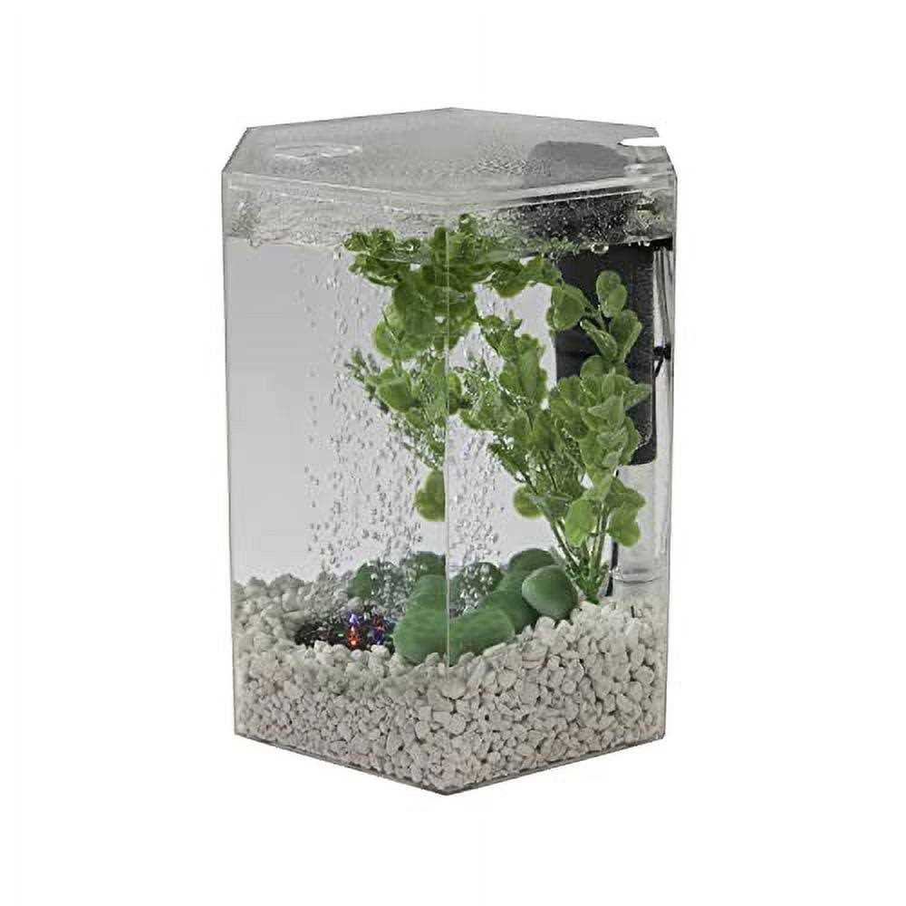 Tetra 29040 - Nail Gallerys