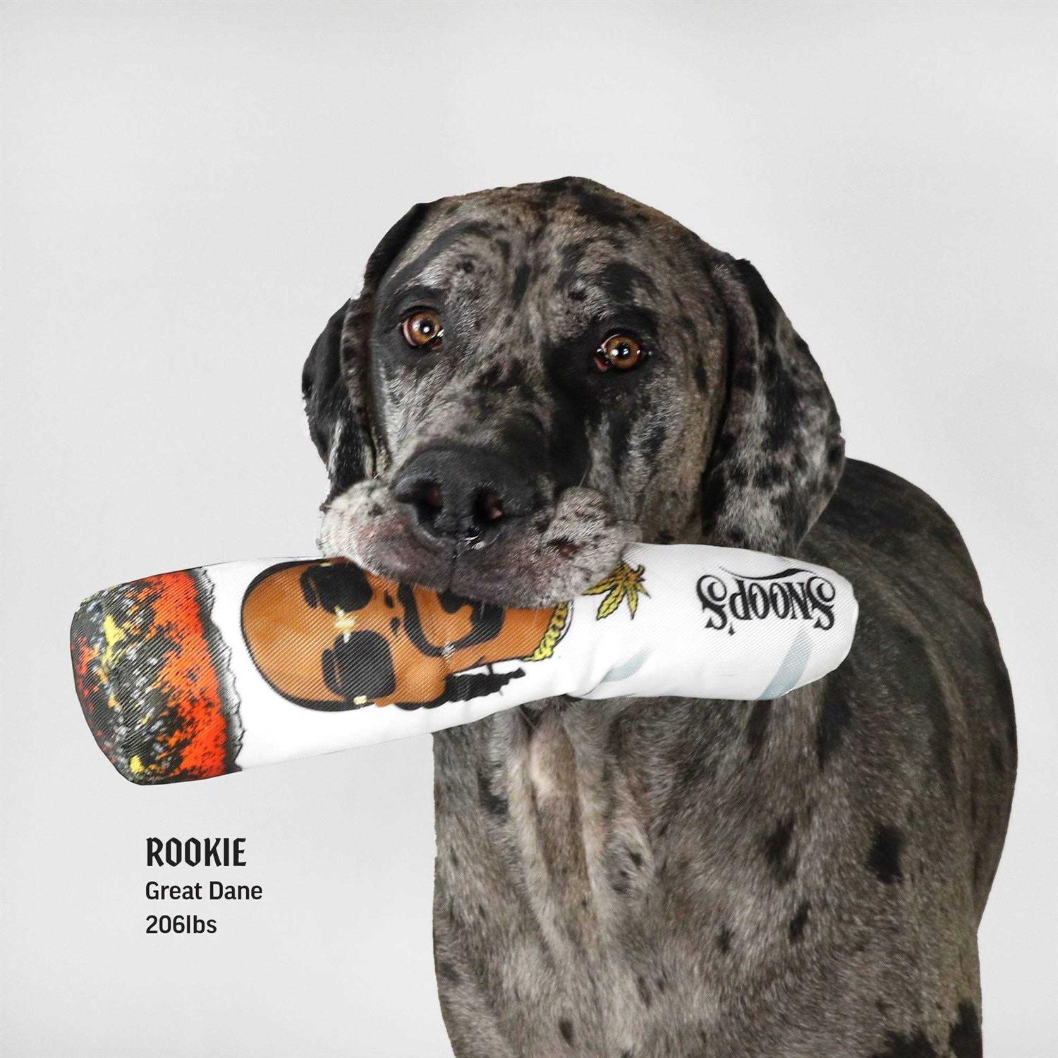 Snoop Doggie Doggs Doobie Dog Toy - Nail Gallerys