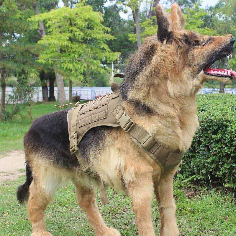 Icefang Tactical Dog Harness Size,2X Metal Buckle,Working Dog MOLLE Vest with Handle,No Pulling Front Leash Clip,Hook and Loop Panel - Nail Gallerys
