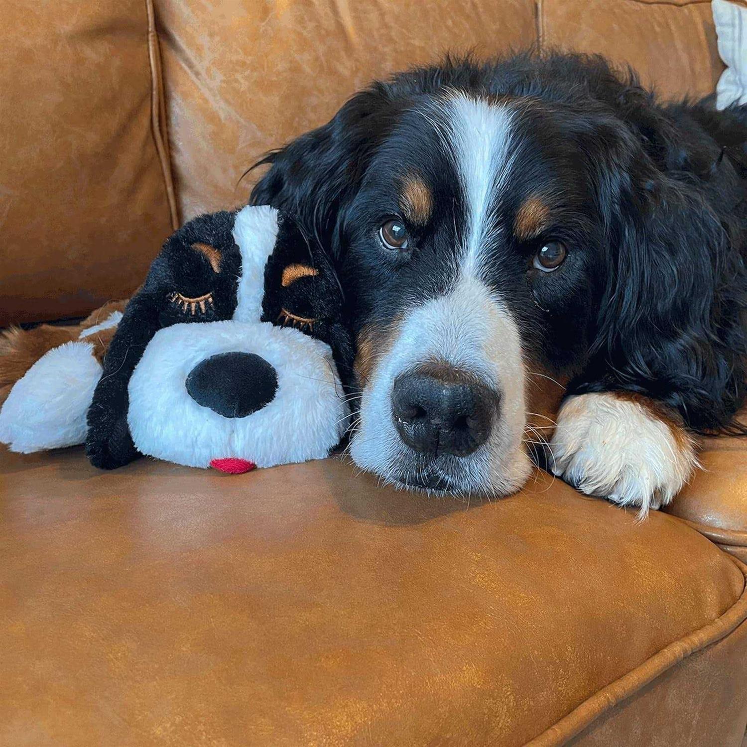 Snuggle Puppy Plus Smart Heartbeat Toy for Pet Anxiety Relief - Nail Gallerys