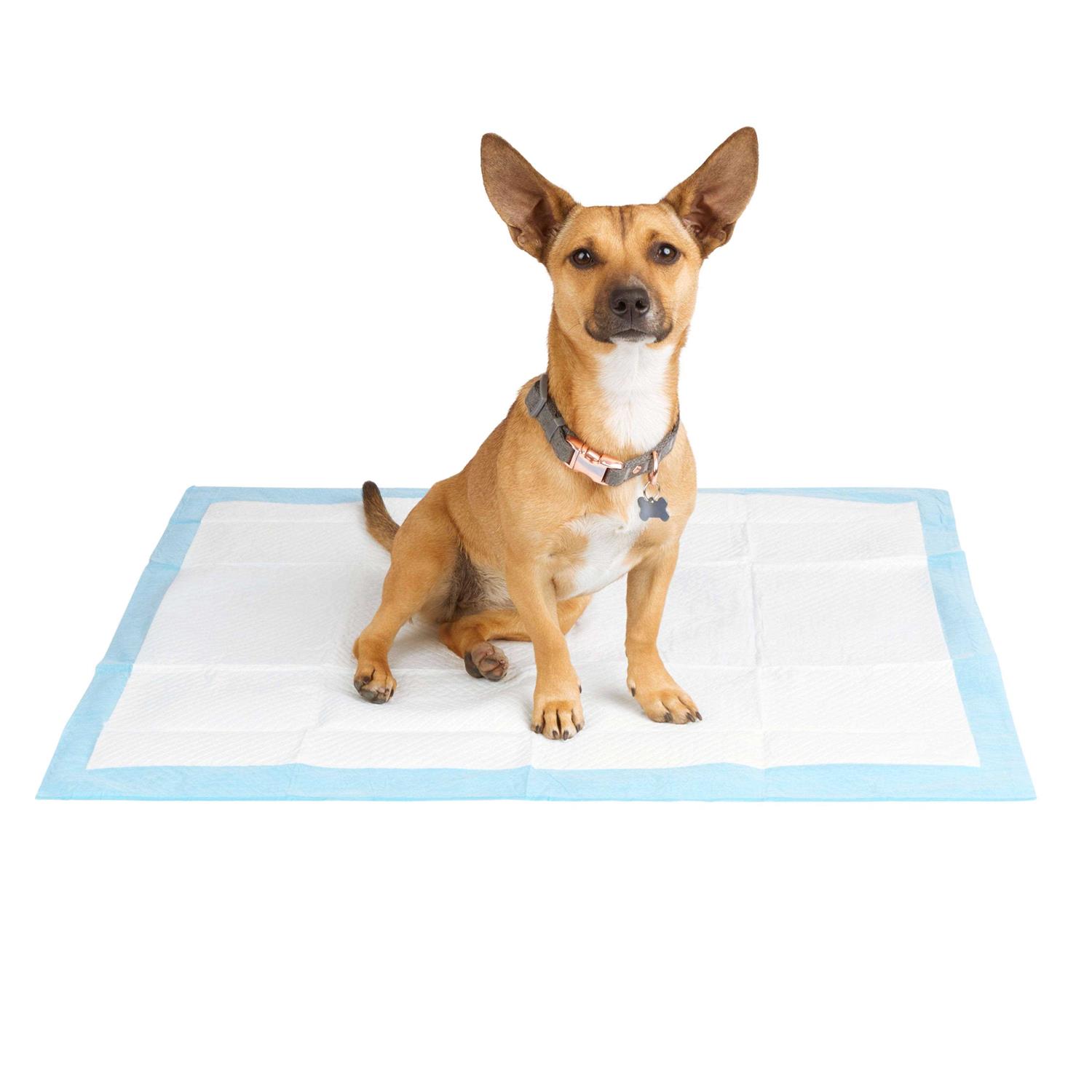 So Phresh Large Leak Guard Quilted Potty Pads - Nail Gallerys