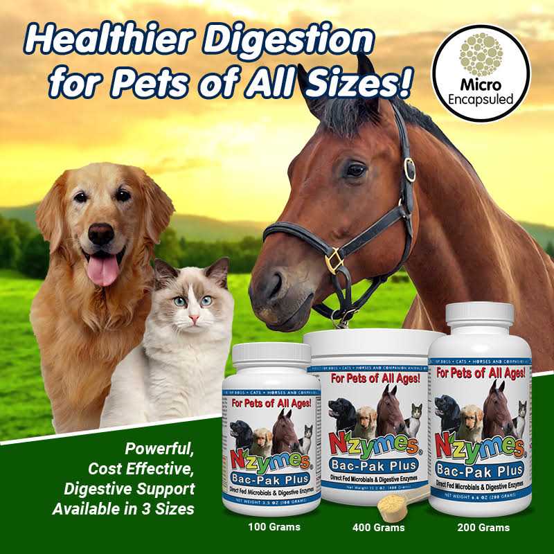 Nzymes Bac-Pak Plus 400gm for Pets - Nail Gallerys