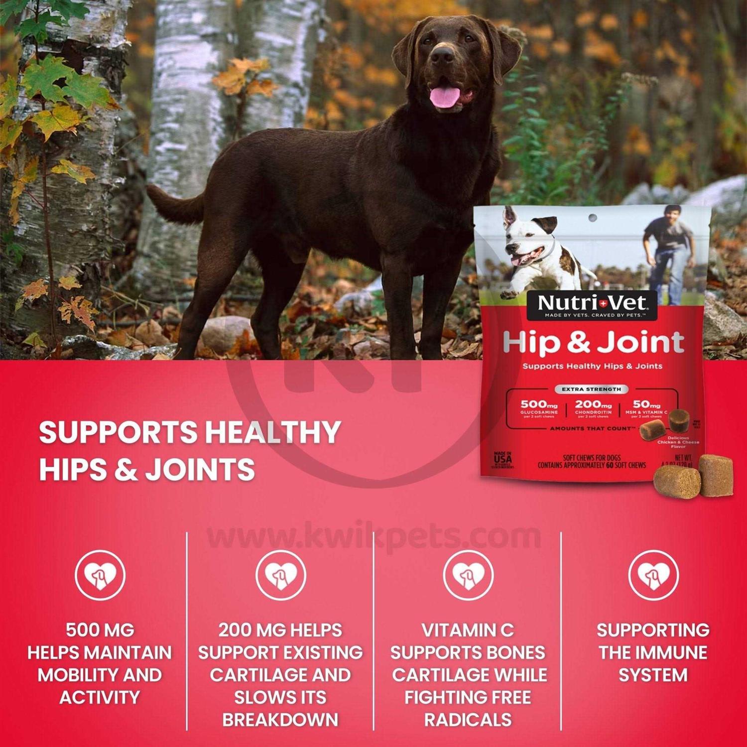 Nutri-Vet Hip & Joint Extra Strength Soft Chews For Dogs - Nail Gallerys