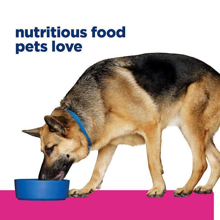 Hill’s Prescription Diet Gastrointestinal Biome Digestive/Fiber Care Chicken & Vegetable Stew Wet Dog Food - Nail Gallerys