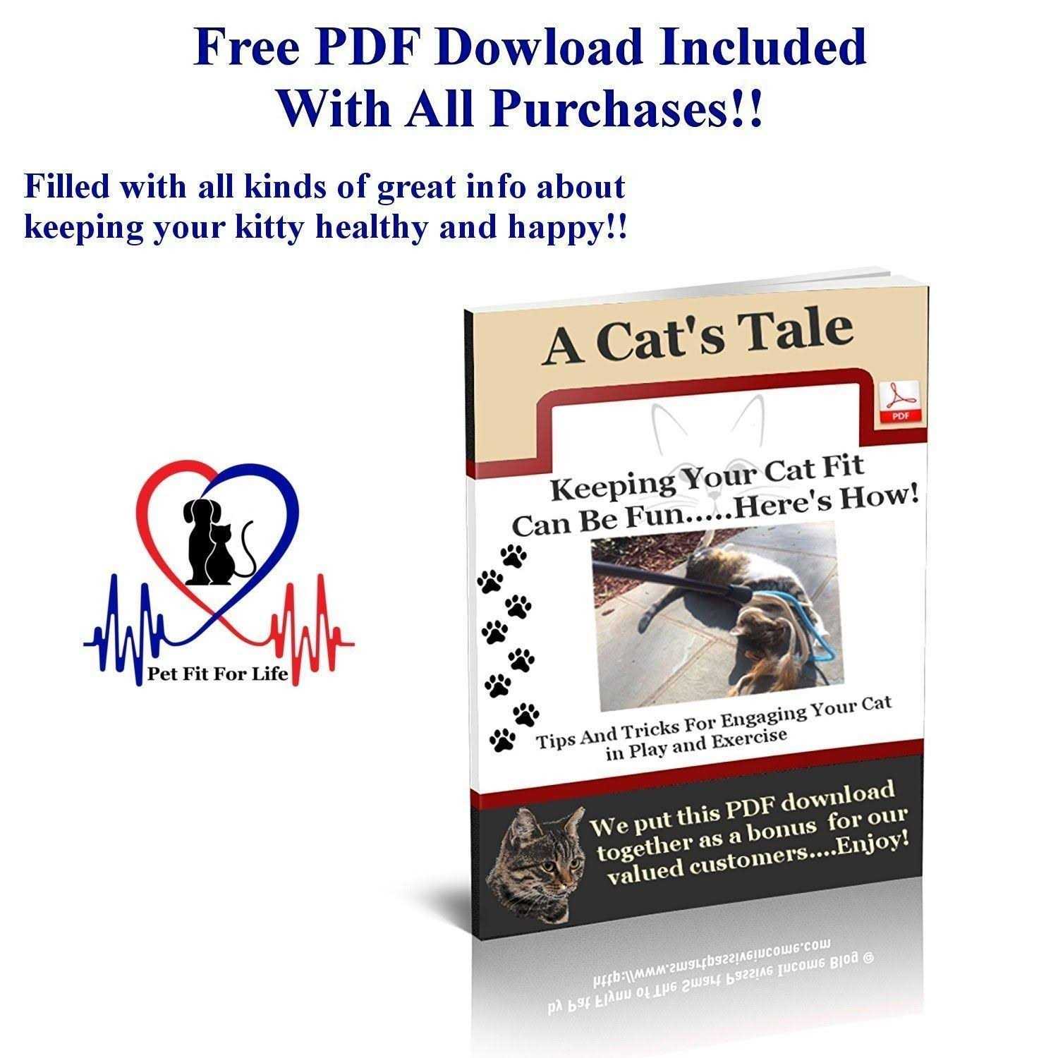 Pet Fit for Life 5 Piece Replacement Pack of Worms for interactive Cat and kitten Toy wands - Nail Gallerys