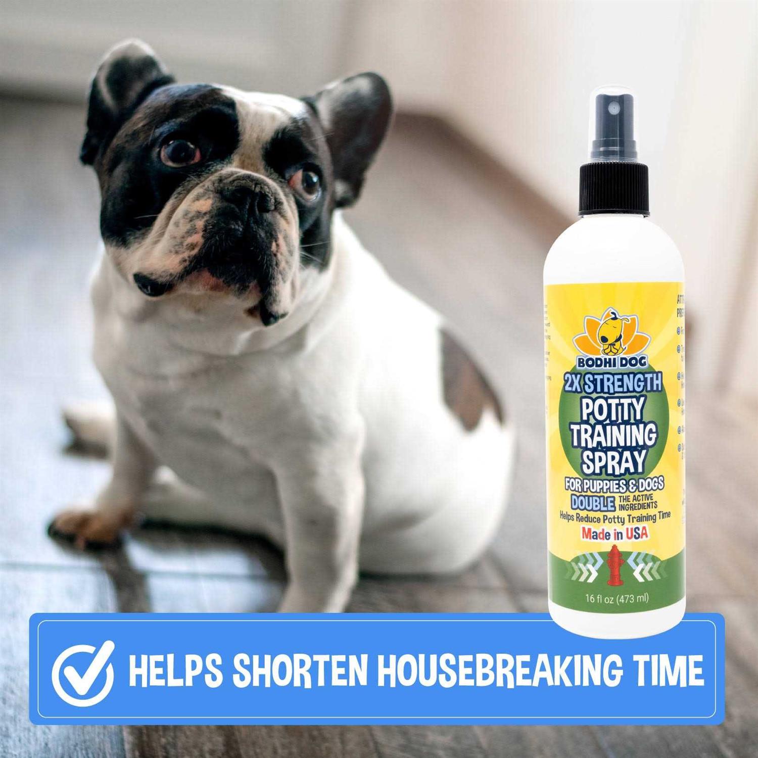 Bodhi Dog Potty Training Spray Indoor Outdoor Potty Training Aid for Dogs & Puppies - Nail Gallerys