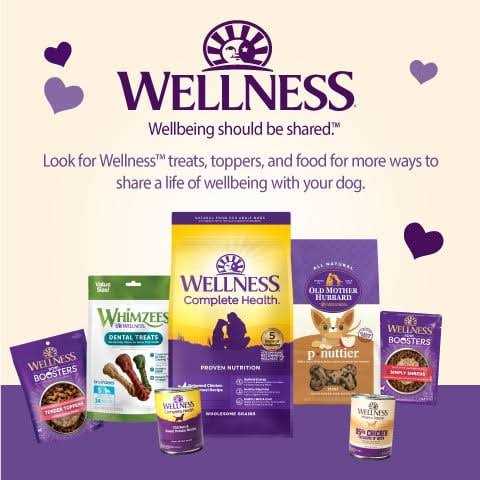 Wellness Soft Wellbites Turkey & Duck Recipe Dog Treats - Nail Gallerys