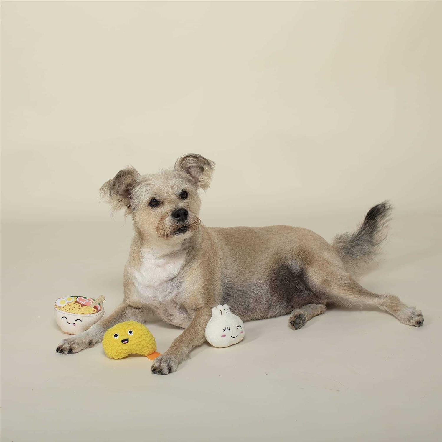 Fringe Studio Plush Dog Toy Set Soy Into You - Nail Gallerys