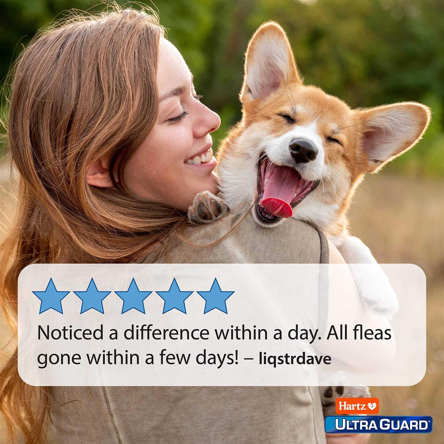 Hartz UltraGuard Flea & Tick Spray for Dogs - Nail Gallerys