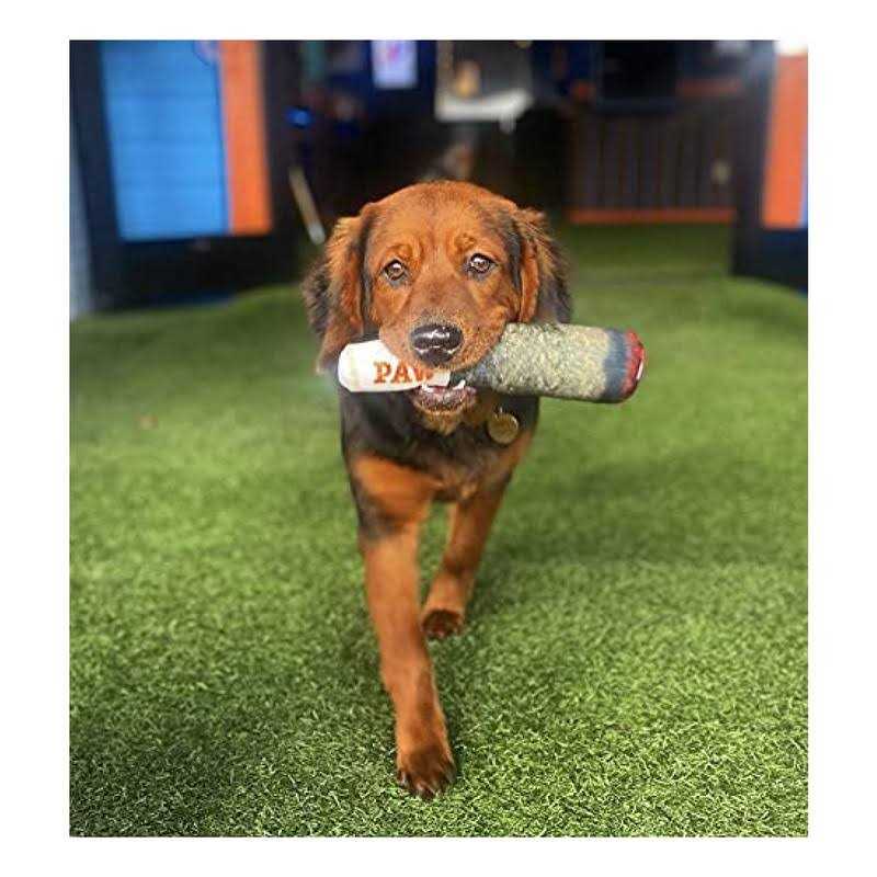 Nickelodeon Spongebob SquarePants for Pets Spongebob, Patrick, and Sandy Figure Plush Dog Toy - Nail Gallerys