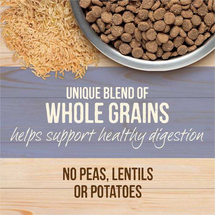 Merrick Healthy Grains Freeze Dried Raw Coated Kibble Dry Dog Food Puppy Recipe - Nail Gallerys