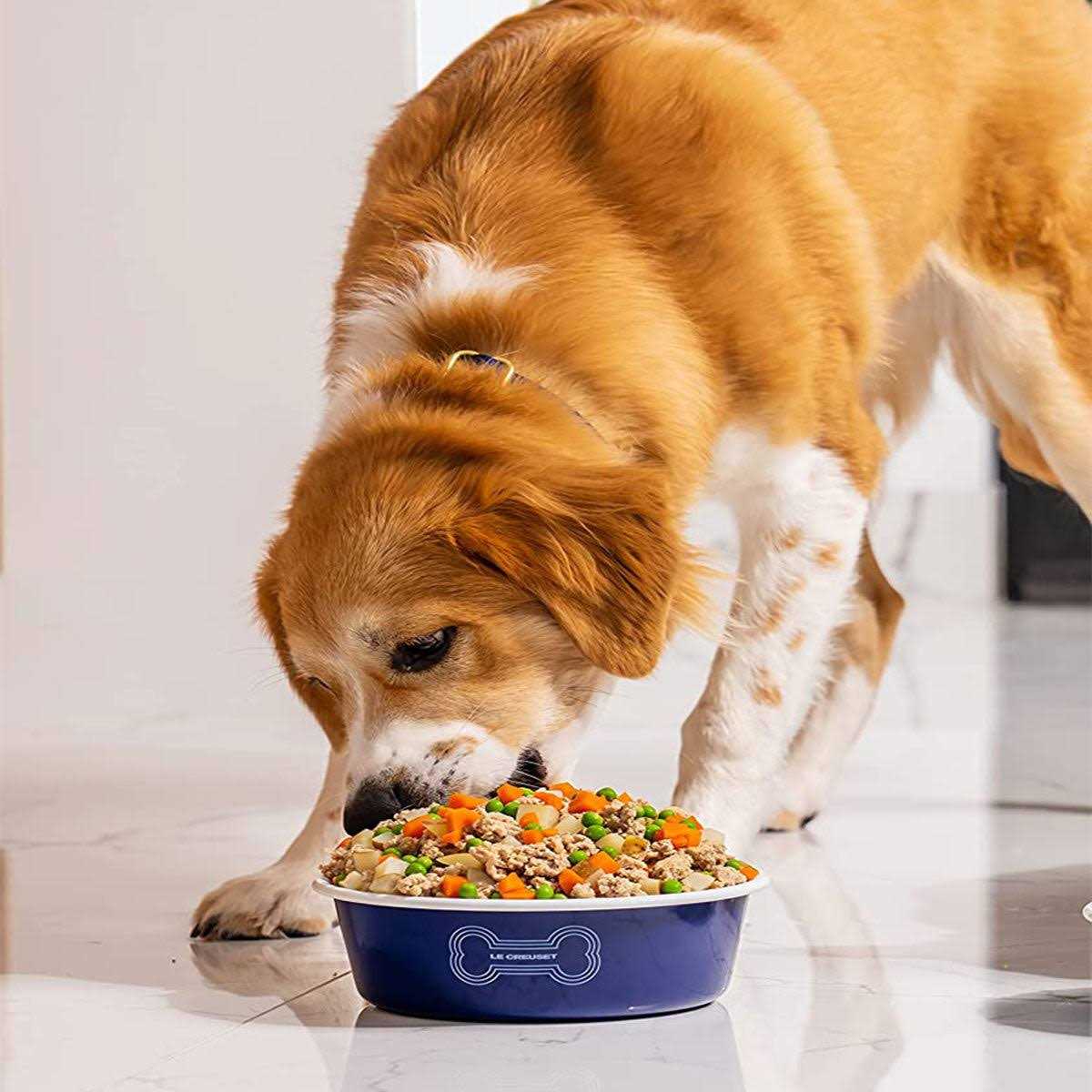 Le Creuset Dog Bowl - Nail Gallerys