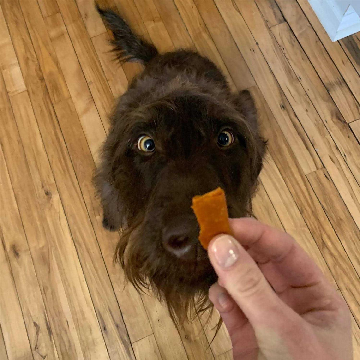 Stashios Wrap Ups - Nail Gallerys