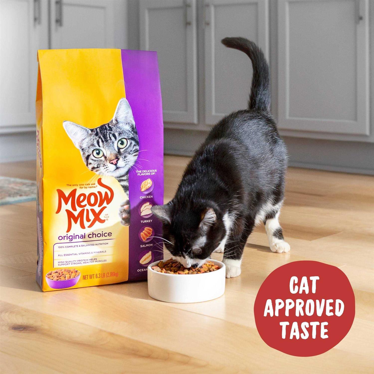 Meow Mix Original Choice Dry Cat Food - Nail Gallerys