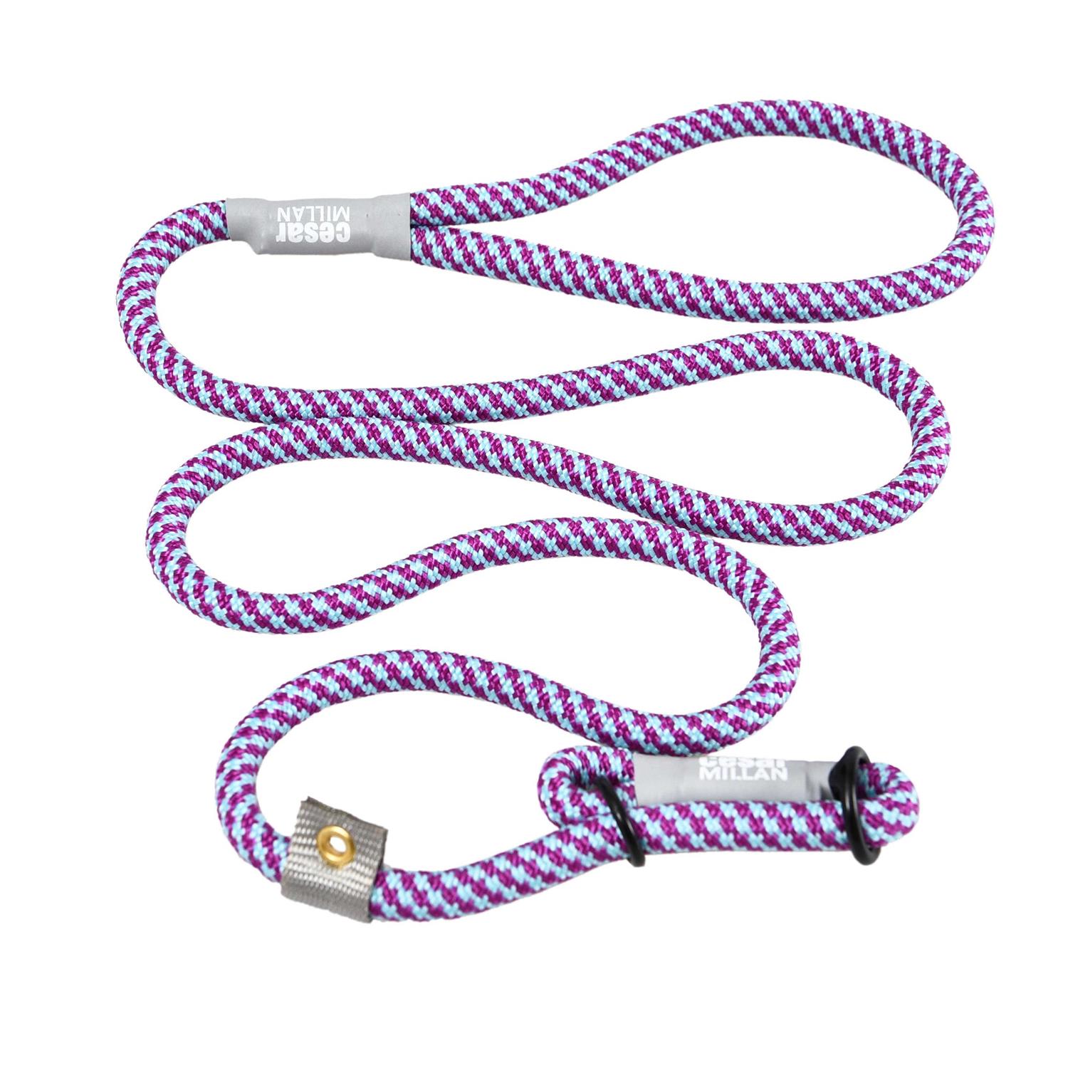 Cesar Millan Slip Lead Leash 2-in-1 Slip Collar Dog Training Lead & Collar - Nail Gallerys