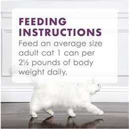 Fancy Feast Medleys Florentine Canned Cat Food - Nail Gallerys