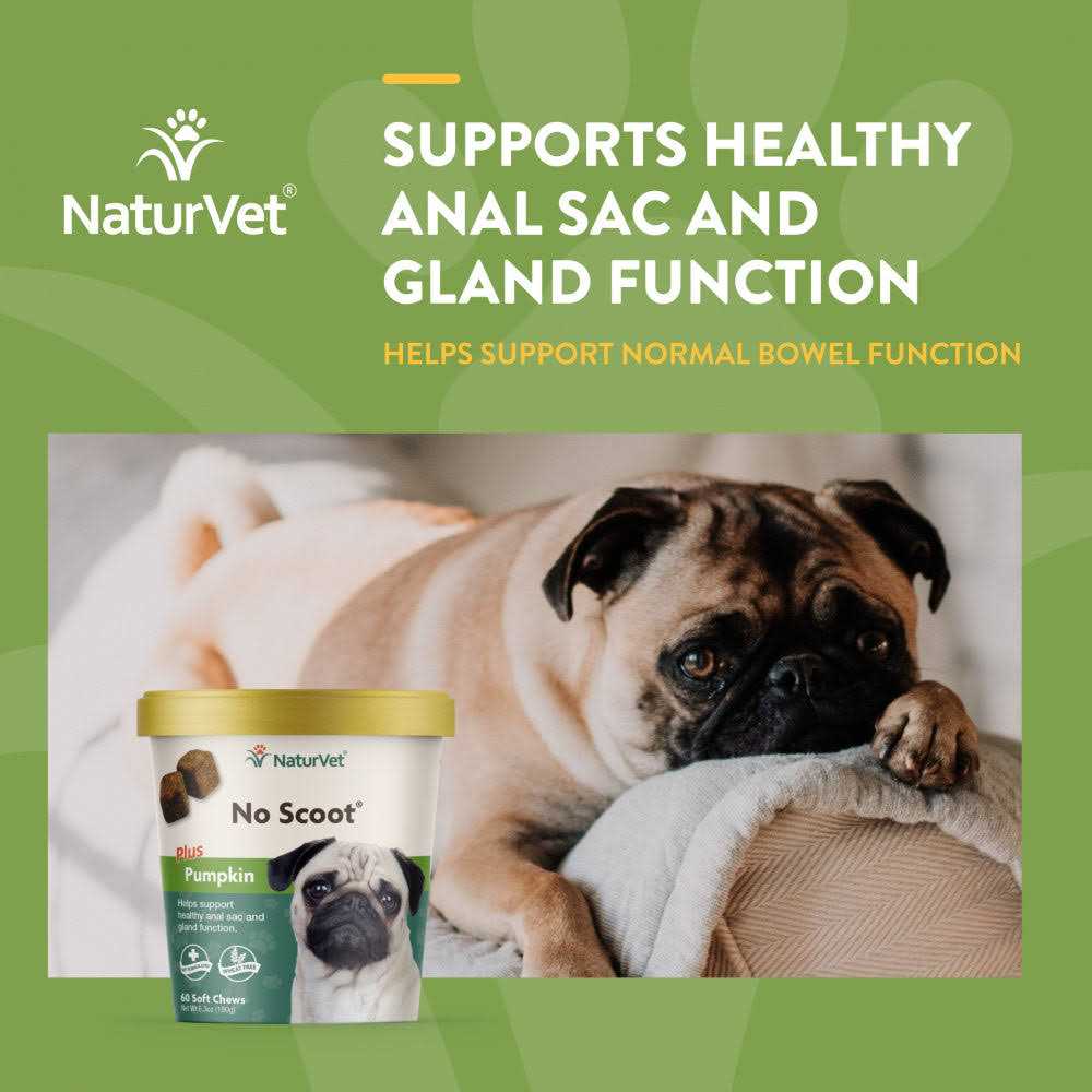 NaturVet No Scoot Plus Pumpkin for Dogs - Nail Gallerys