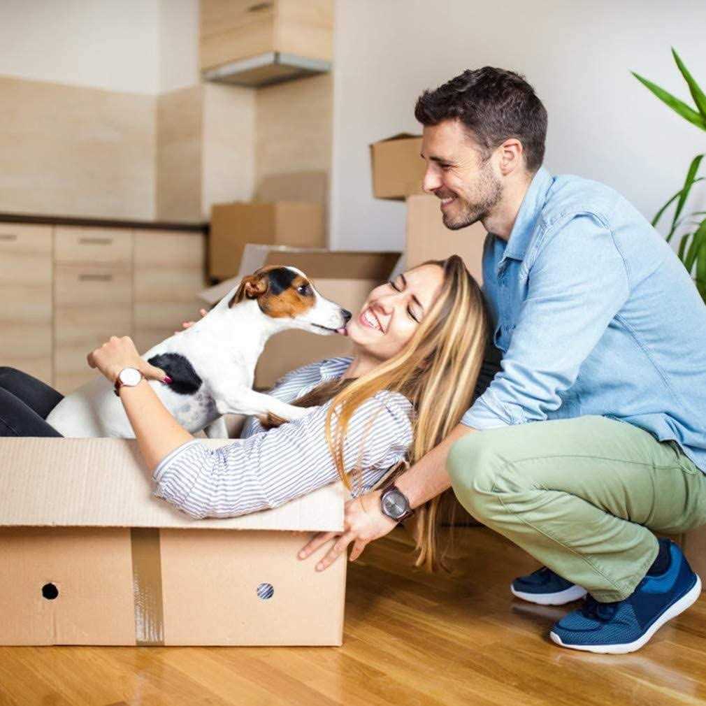 Yrllensdan 48/42/36/30/24 inch Dog Pen for Outside 8 Panel Exercise Fences Pet Playpen with Door Puppy Crate Fence Pet Gate Play Yard Large Dog - Nail Gallerys