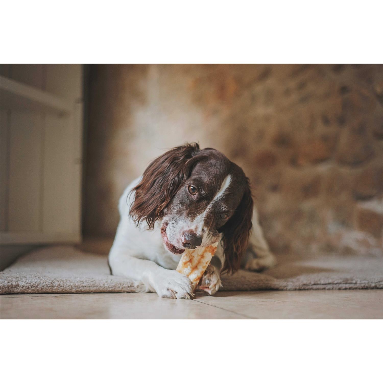 Earth Animal No Hide Peanut Butter - Nail Gallerys