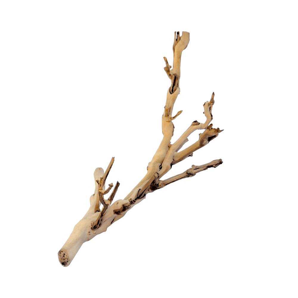 Exo Terra Forest Branch - Nail Gallerys