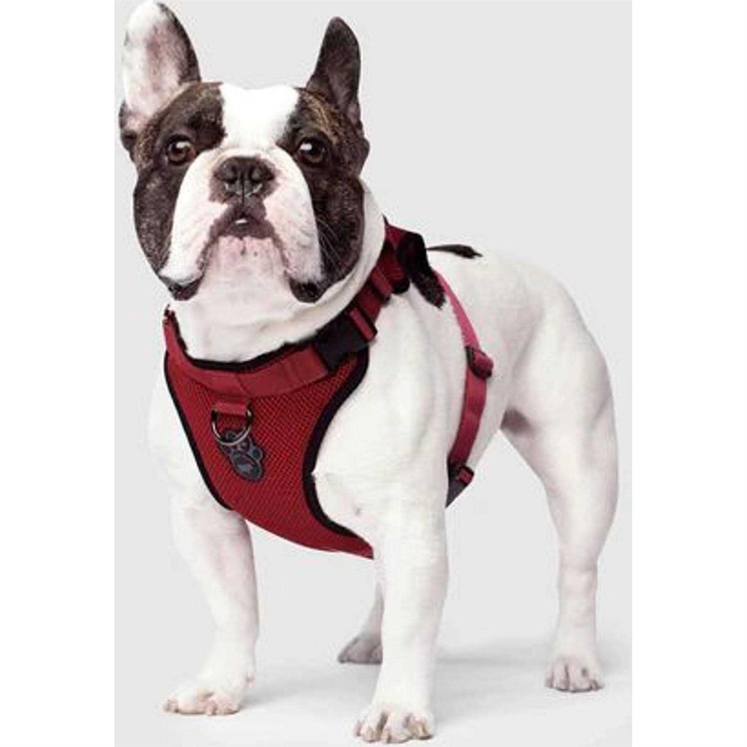 Canada Pooch Dog Everything Harness - Nail Gallerys