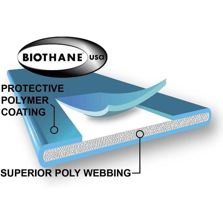 E-Collar Technologies BP-504 Barkless Pro Anti Bark Collar - Nail Gallerys