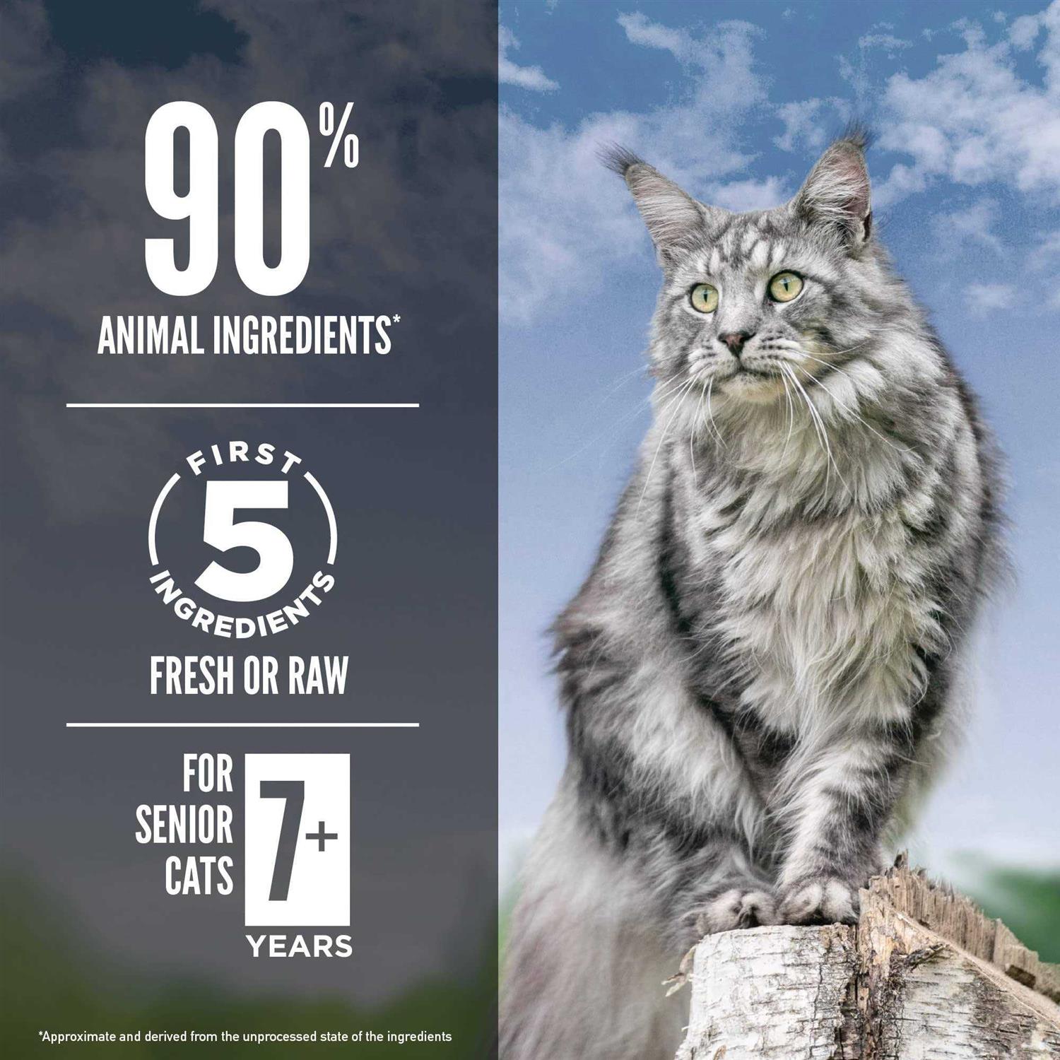Orijen Guardian Senior 7+ Grain Free Dry Cat Food - Nail Gallerys