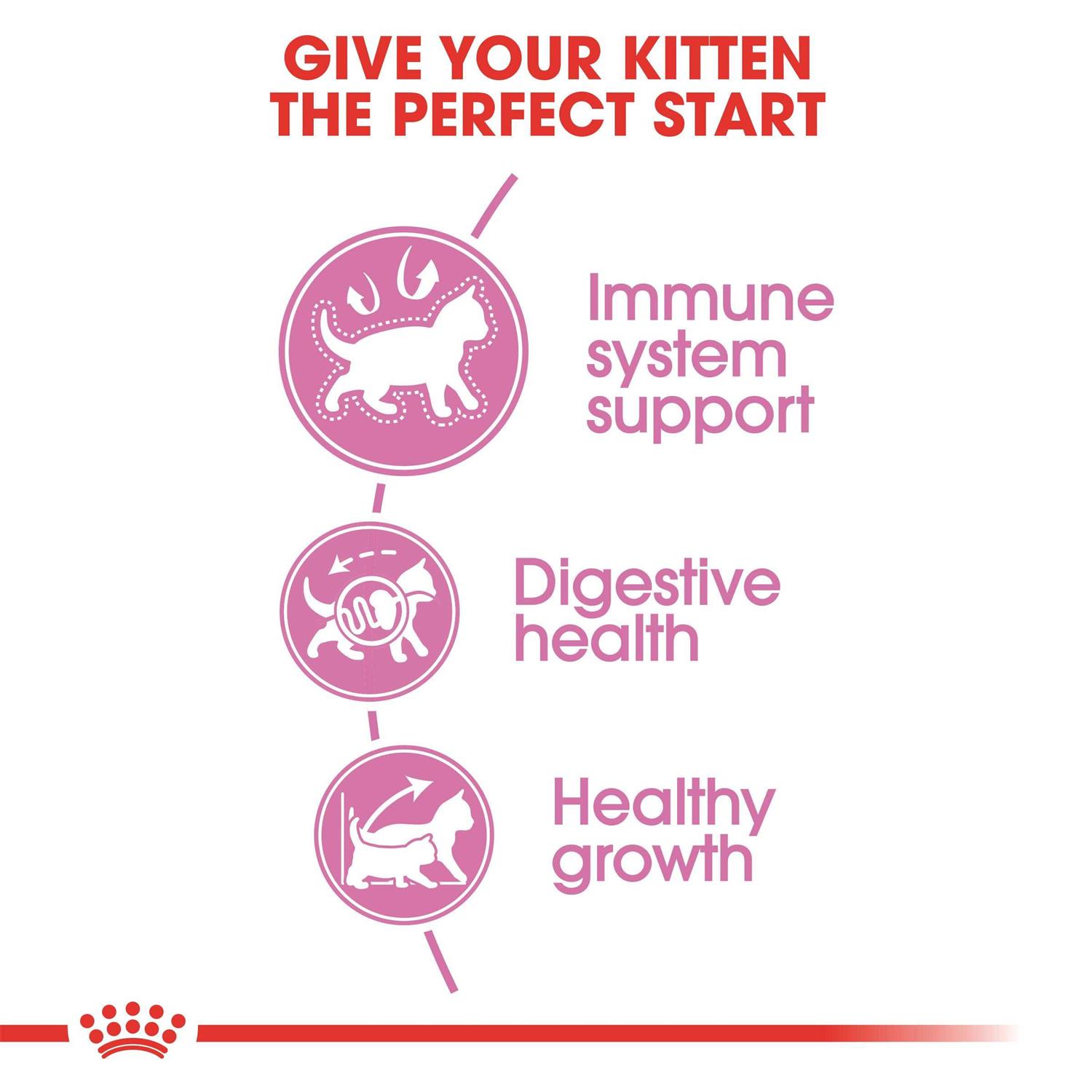 Royal Canin Kitten Feline Health Nutrition Kitten Dry Food - Nail Gallerys