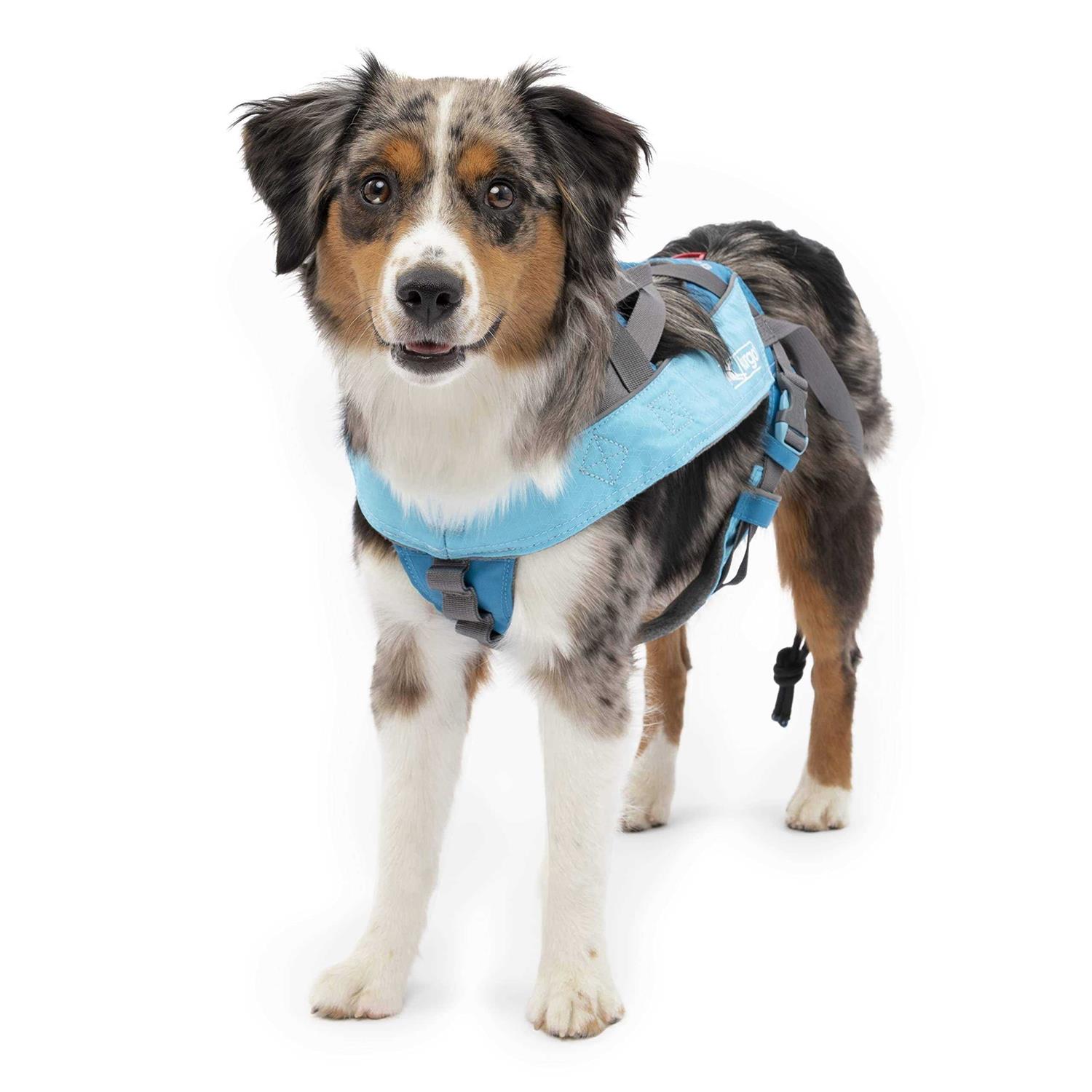 Kurgo Long Hauler Cradle Back Joring Dog Harness - Nail Gallerys