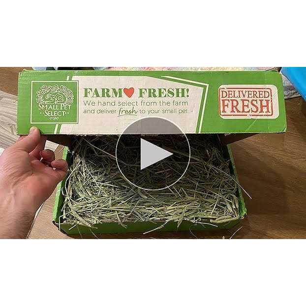 Small Pet Select Cutting Timothy Hay Pet Food - Nail Gallerys