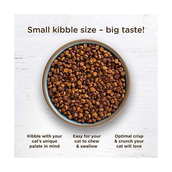 Rachael Ray Nutrish Super Premium Cat Dry Food - Nail Gallerys