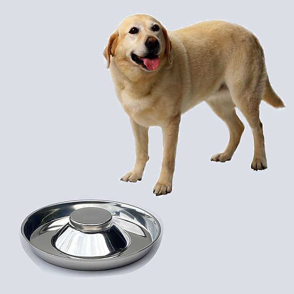 ballmount 2 Puppy Bowl Puppy Feeding Bowls for Small Dogs whelping Box Water Weaning Bowls - Nail Gallerys
